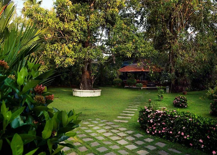 The Backwater Heritage -Unwind On Tranquil Alleppey Backwaters Alappuzha